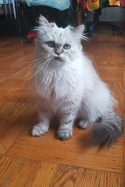 BIYANA